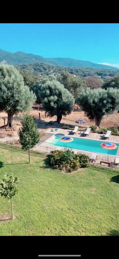 Villa Domaine De Tappa - Casa Filicina Sollacaro Exterior foto